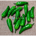 Chilli papričky 7 cm (12 ks) - zelená